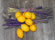 Lemon Aide - Lemon & Lavender Glass Cleaner 750ml (6 per case)